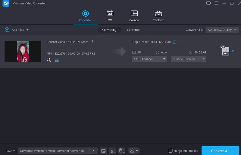 Converting Videos Vidmore