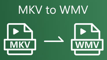 MKV in WMV