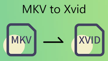 MKV in XVID umwandeln
