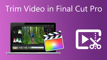 Video in Final Cut Pro schneiden