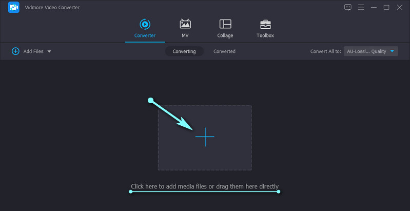 Vidmore M4A-Datei hinzufügen