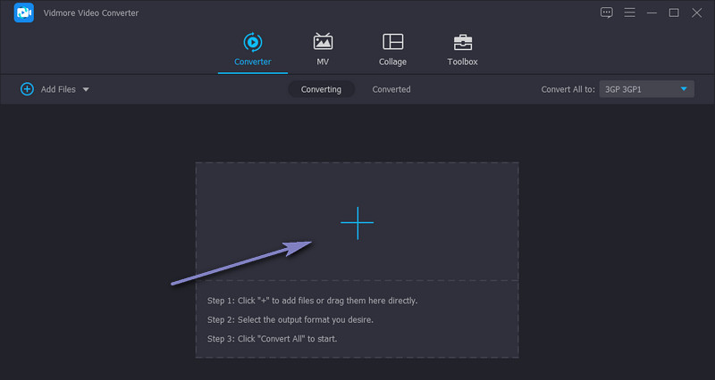 Vidmore MP4 hinzufügen