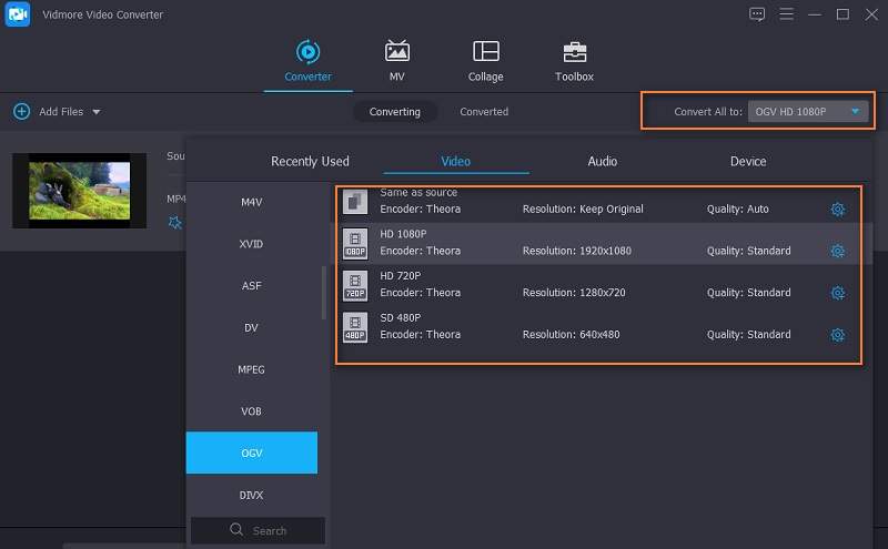 Vidmore Format festlegen