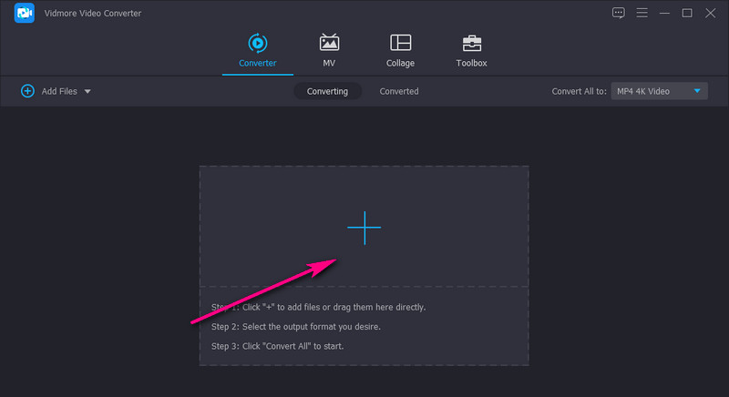 Vidmore MP4 hochladen