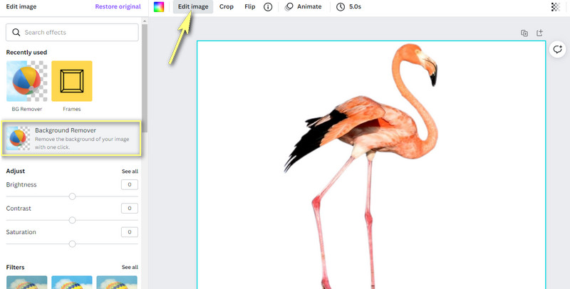 Canva-Hintergrund entfernen