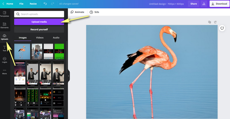 Canva-Fotos hochladen
