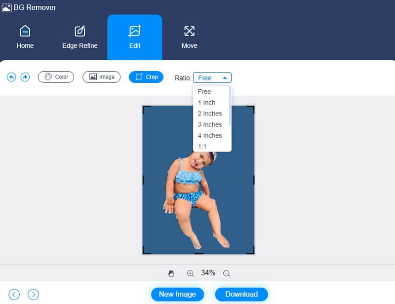 Vidmore Background Remover Online zuschneiden