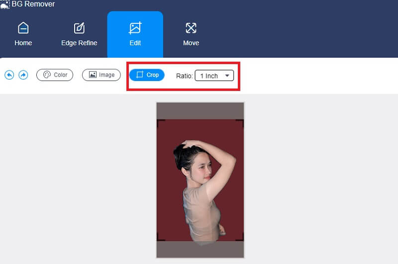 Zuschneiden & Farbe Vidmore Background Remover