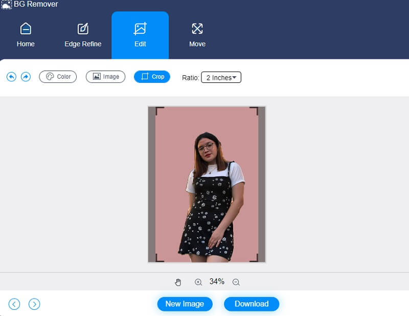 Vidmore Background Remover zuschneiden