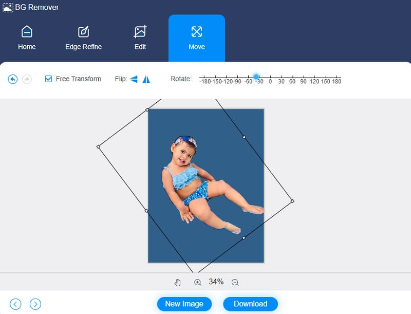 Vidmore Background Remover Online spiegeln