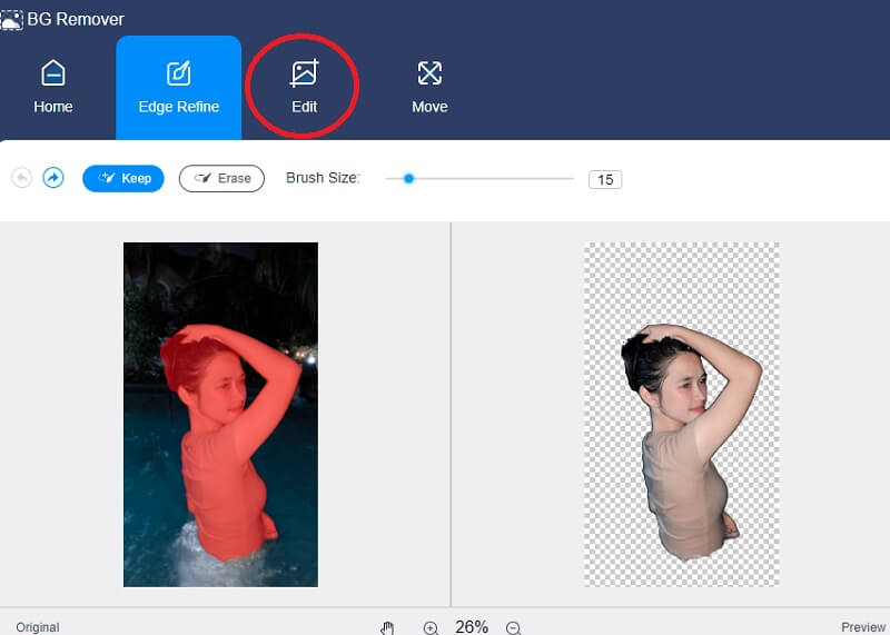 Vidmore Background Remover-Vorschau