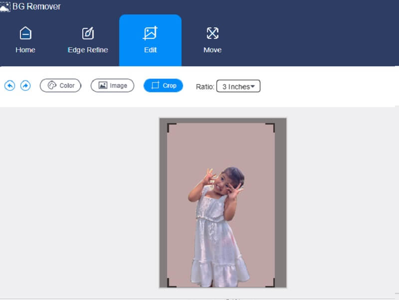 Größe ändern – Vidmore Background Remover