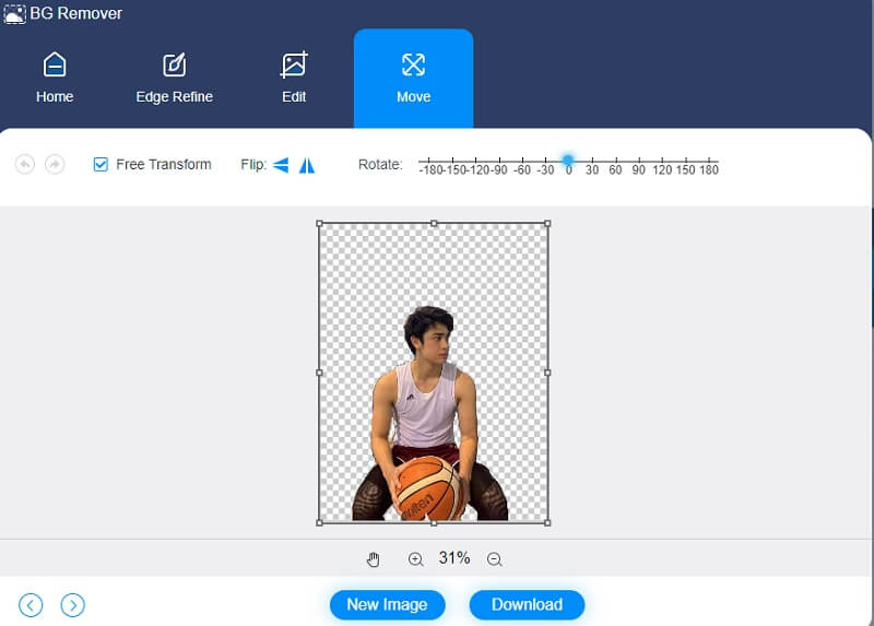 Bild drehen oder spiegeln Vidmore Online