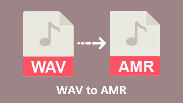 WAV in AMR