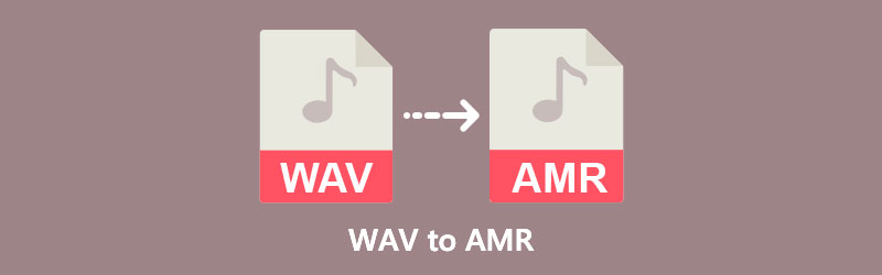 WAV in AMR