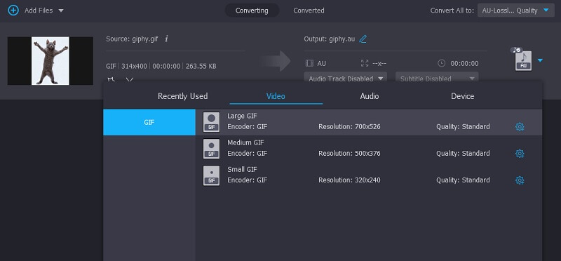 GIF in Vidmore auswählen
