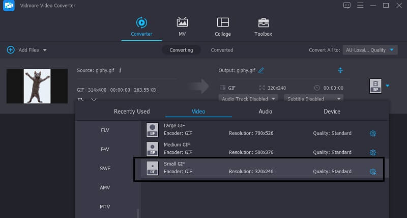 Kleines GIF in Vidmore wählen