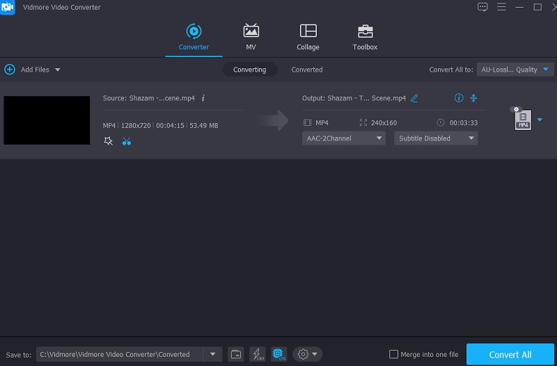 Video umwandeln Vidmore