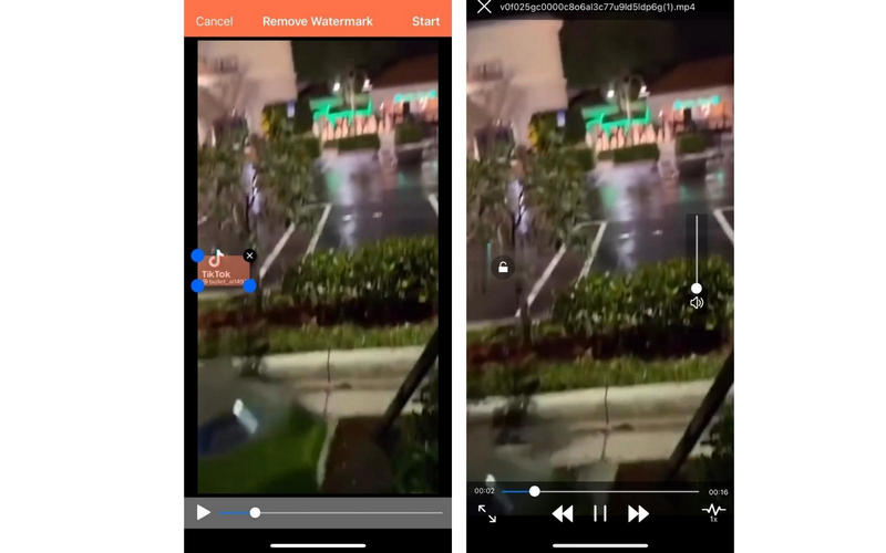 Video Eraser Logo entfernen