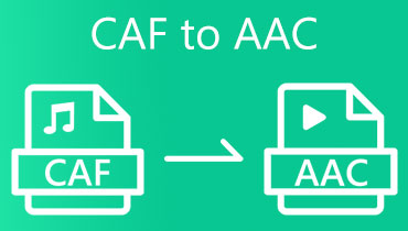 CAF in AAC