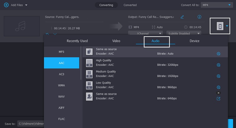 AAC mit Vidmore wählen
