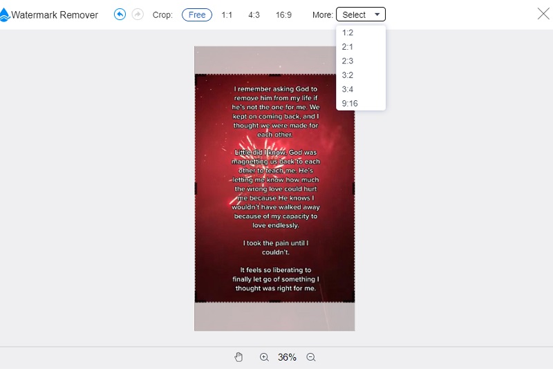 Bild zuschneiden Vidmore Wasserzeichen