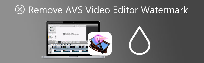 AVS Video Editor-Wasserzeichen entfernen
