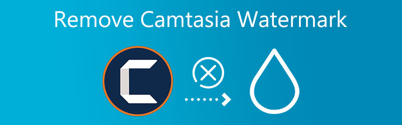 Camtasia-Wasserzeichen entfernen