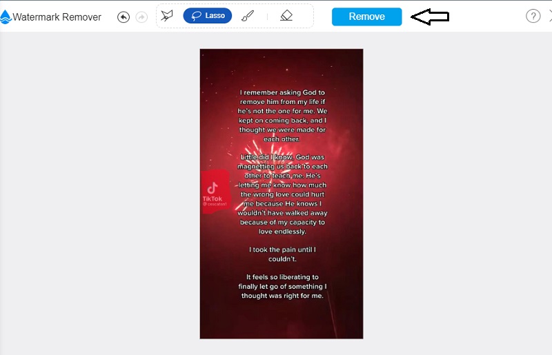 Wasserzeichen entfernen Vidmore Wasserzeichen