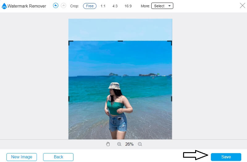 Bilder speichern Vidmore