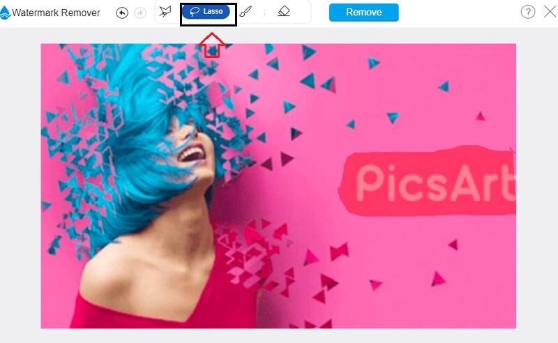 Wasserzeichen nachverfolgen Vidmore