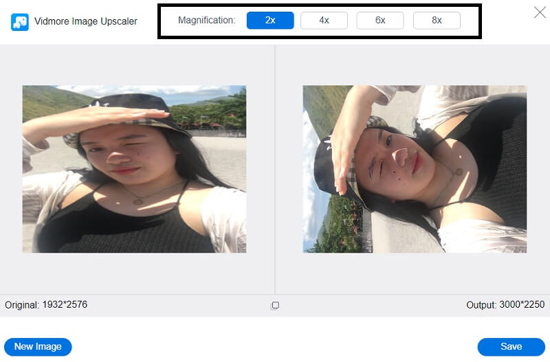 Vergrößerung wählen Vidmore