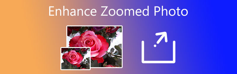 Hineingezoomtes Foto verbessern