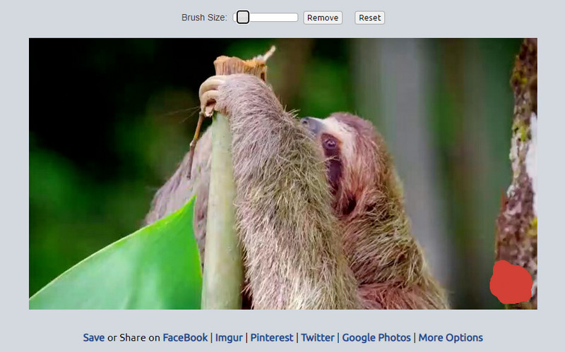 Wasserzeichen entfernen