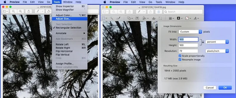 Bild vergrößern MacPreview