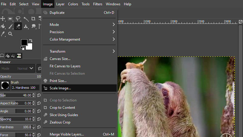 Bildoptionen öffnen