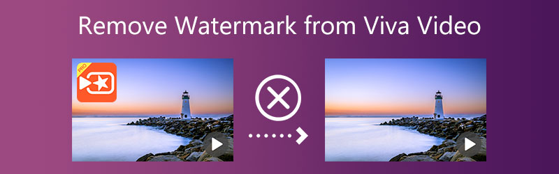 Wasserzeichen aus Viva Video entfernen