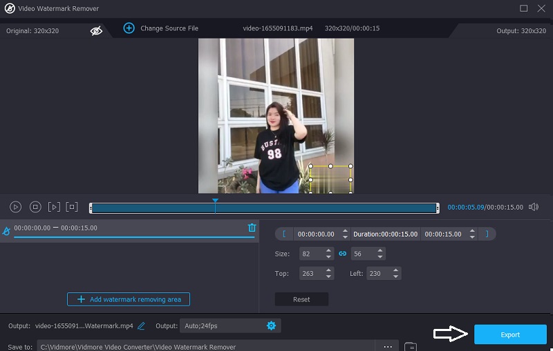 Wasserzeichen entfernen Vidmore