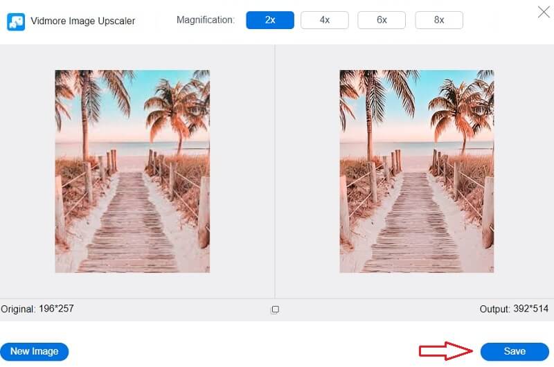 Bilder speichern Vidmore