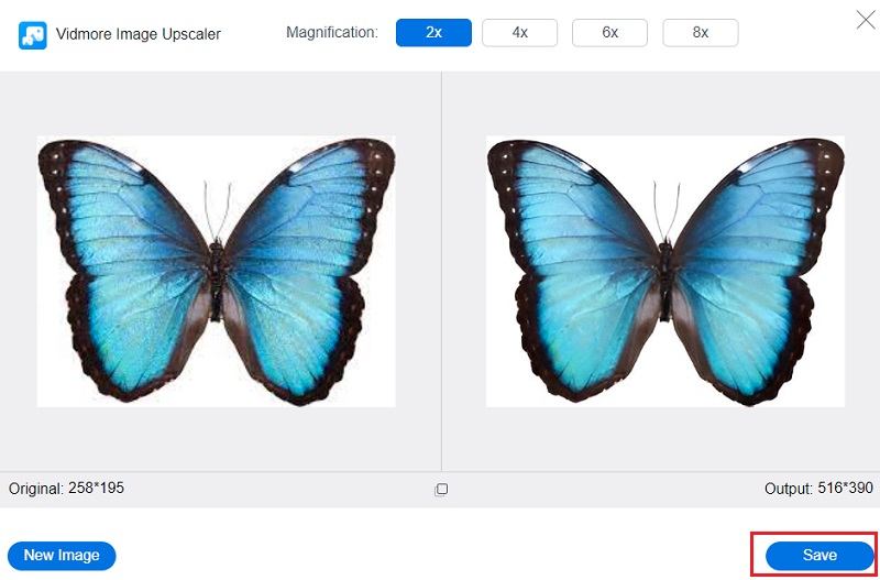 Das Bild speichern Vidmore