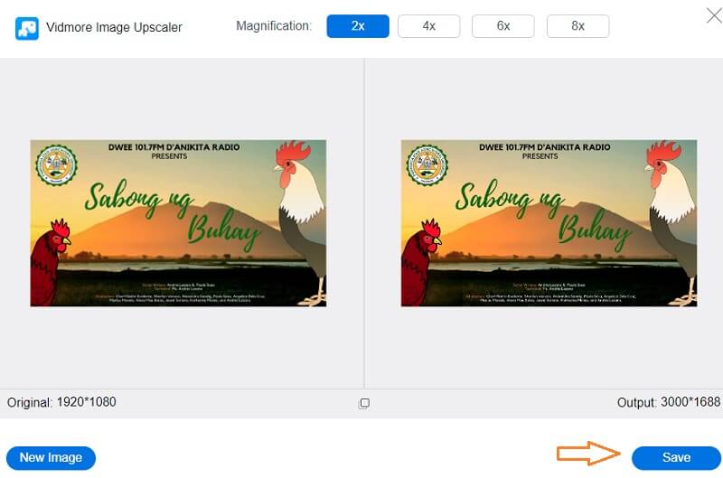 Bilder mit Vidmore speichern