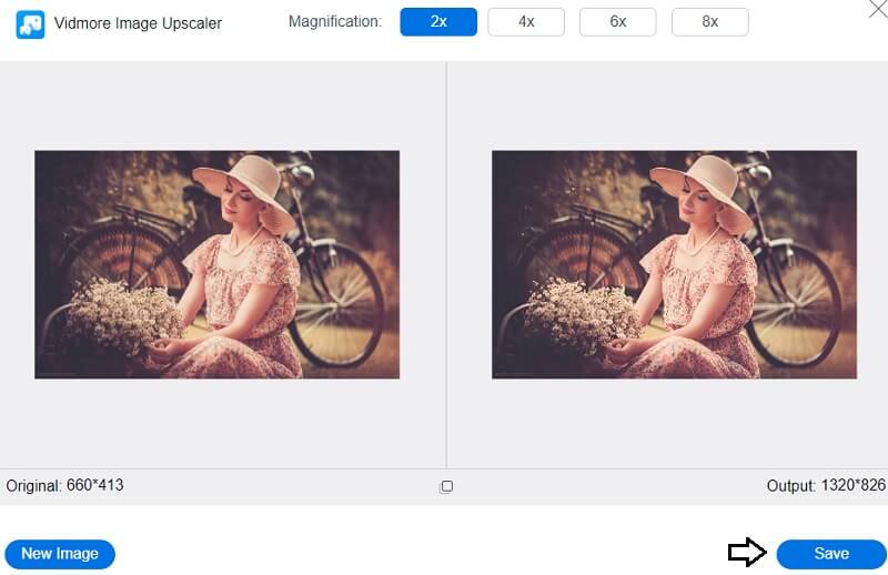 Bild mit Vidmore speichern