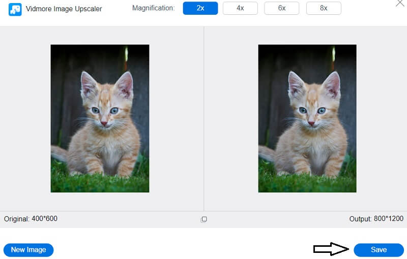 Vergrößerung speichern Vidmore
