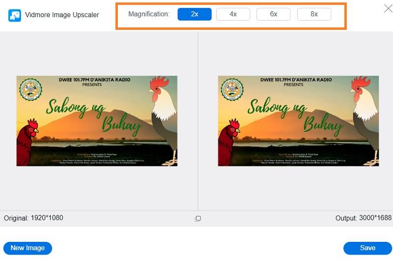 Vergrößerung einstellen Vidmore