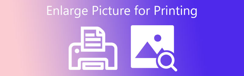 Bild zum Drucken vergrößern