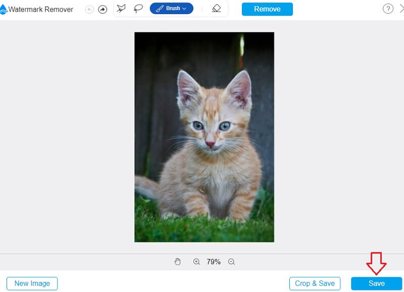 Bild exportieren Vidmore