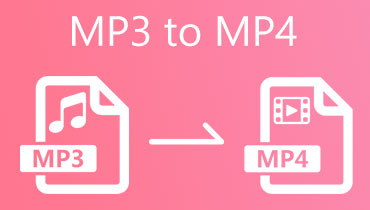 MP3 zu MP4