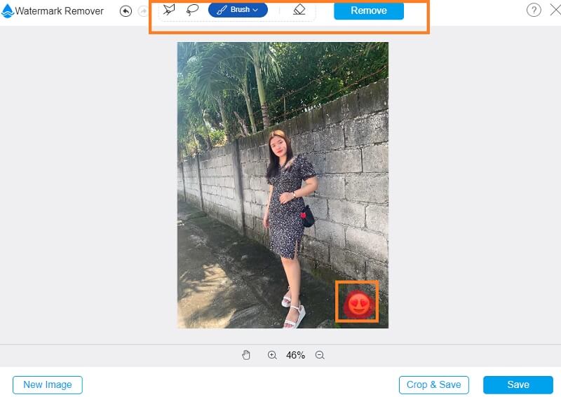 Emoji entfernen Vidmore