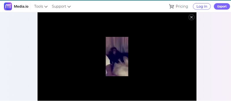 Bildwasserzeichen mit Media IO entfernen