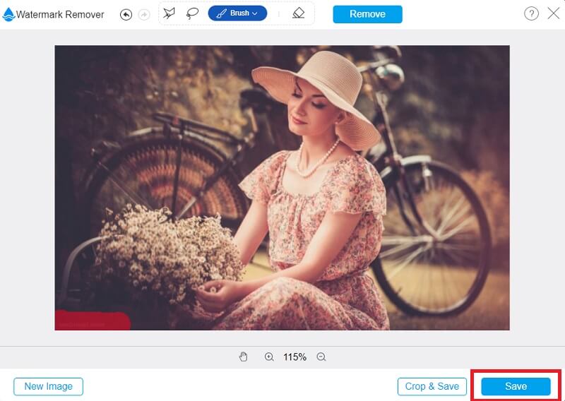 Bilder speichern Vidmore